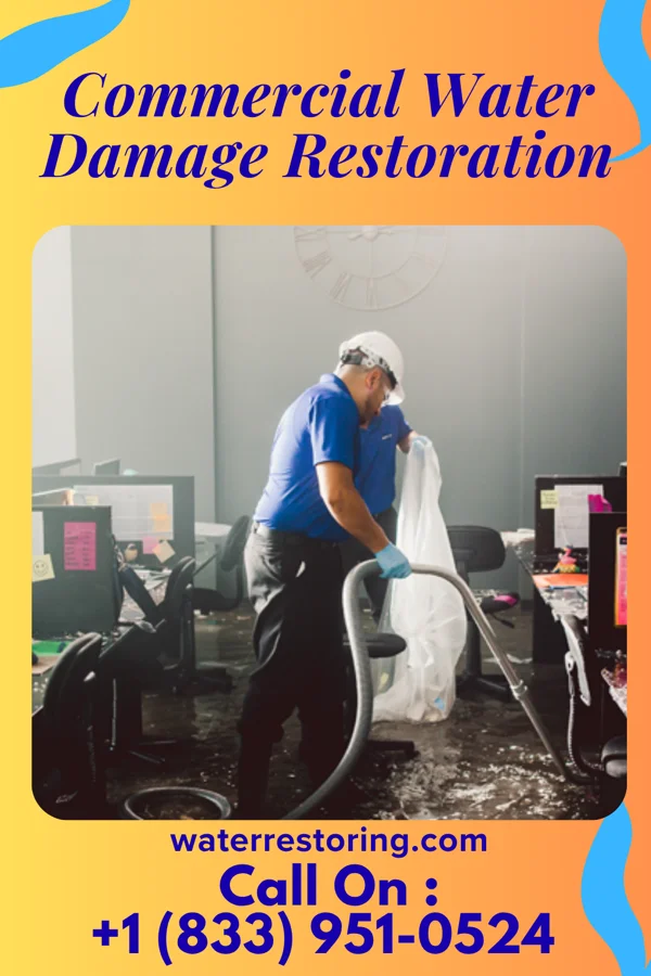 Commercial Water Damage Restoration in Glenburn, ND