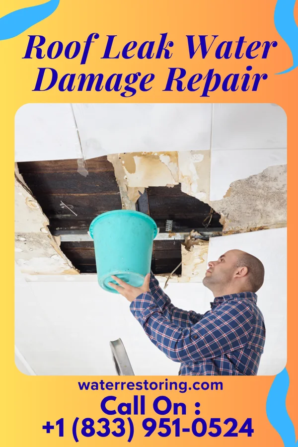 Roof Leak Water Damage Repair in Glenburn, ND