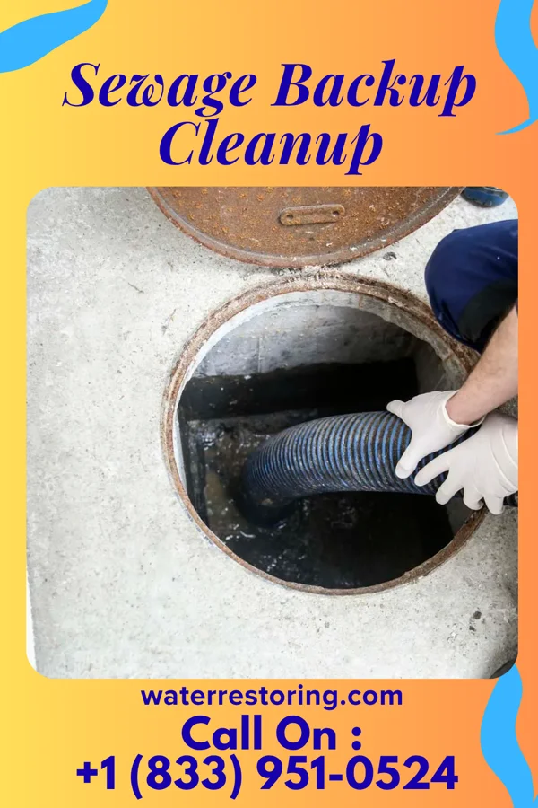 Sewage Backup Cleanup in Glenburn, ND
